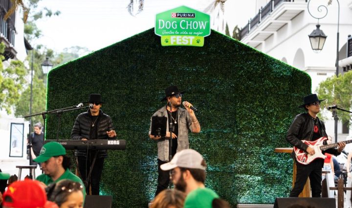 DogChowFest 2025 (2)