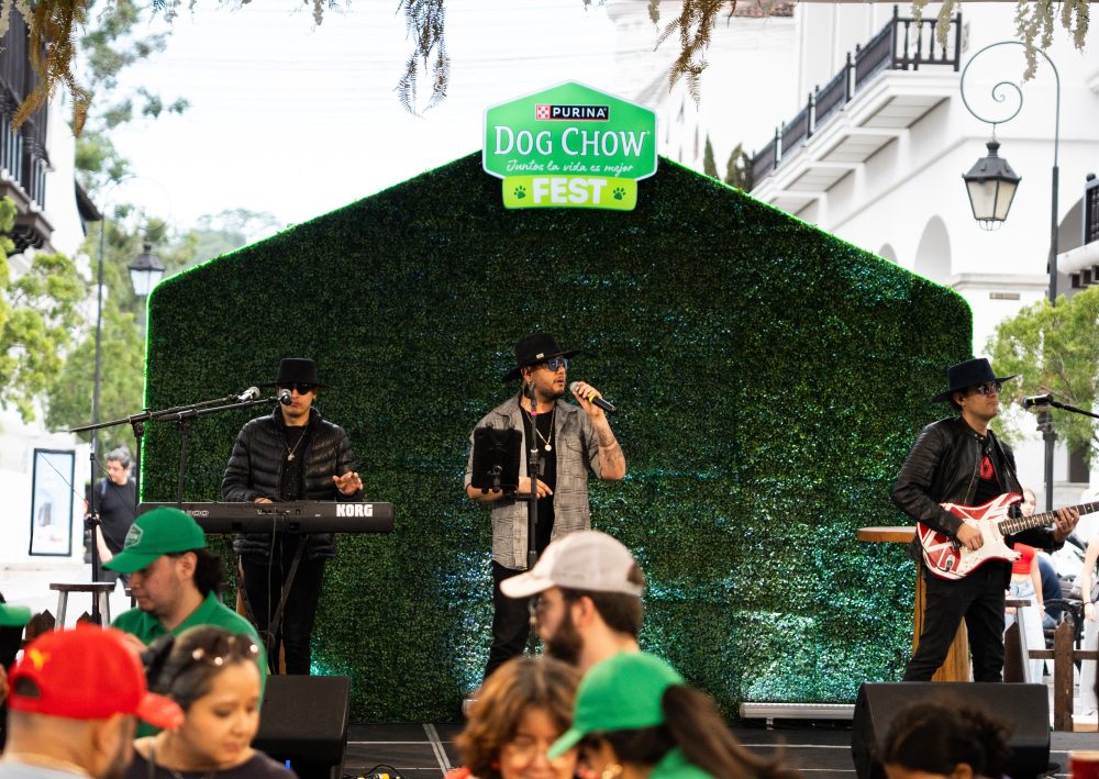 DogChowFest 2025 (2)