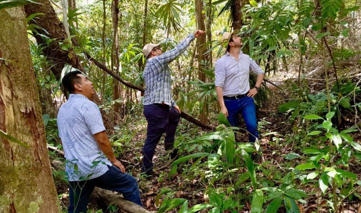INAB SE UNE A RESTOR PARA QUE LOS GOBIERNOS