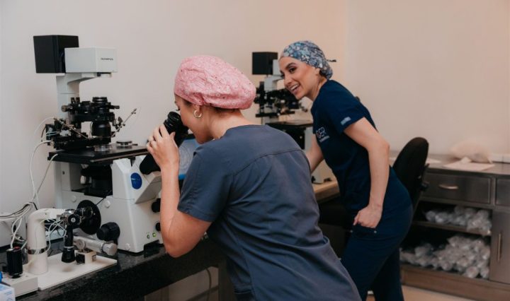 CER Retratos fertilización in vitro