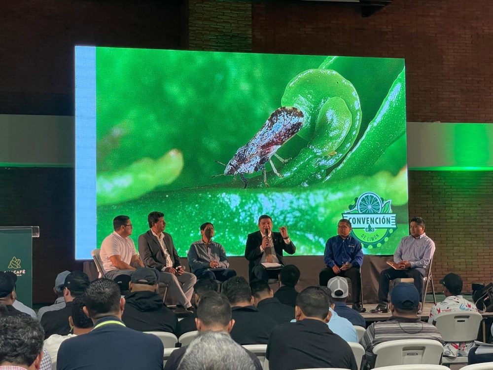 Convención Nacional del Limón AGROCENTRO