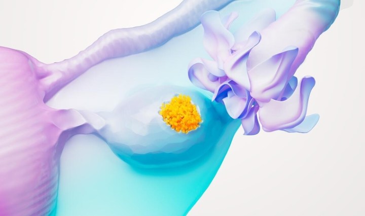 Concientización sobre los Cánceres Ginecológicos Un llamado a salvar vidas a través de la detección temprana