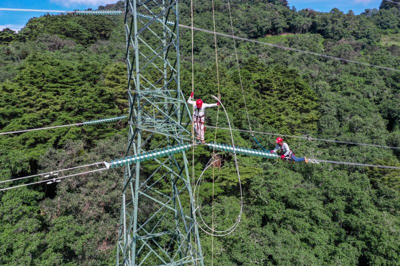 Transportistas de electricidad refuerzan sus operaciones enfocadas en la protección ambiental
