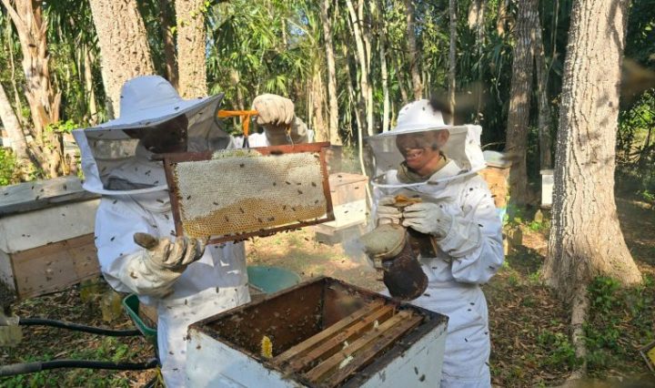 Grupo AJE renueva su alianza con WCS para proteger la selva guatemalteca