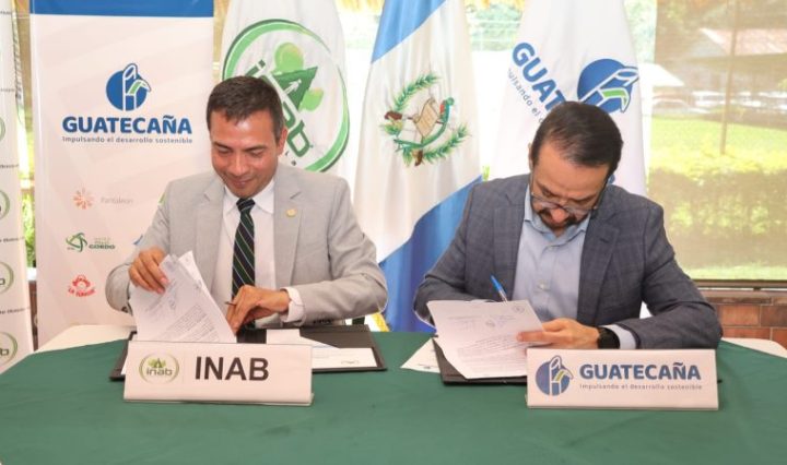 UNIDOS POR UN FUTURO MÁS VERDE INAB Y GUATECAÑA IMPULSAN LA REFORESTACIÓN EN GUATEMALA