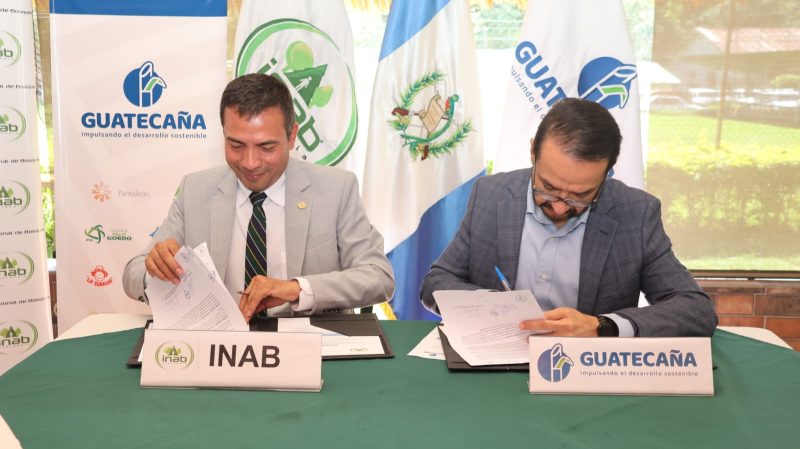 UNIDOS POR UN FUTURO MÁS VERDE INAB Y GUATECAÑA IMPULSAN LA REFORESTACIÓN EN GUATEMALA