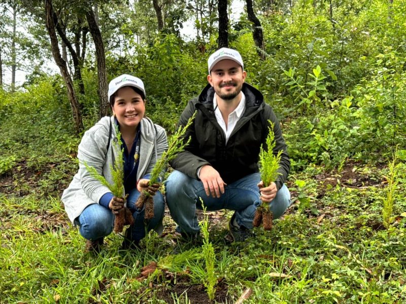 PRADERA PROMUEVE UNA JORNADA DE REFORESTACIÓN QUE FORTALECE EL COMPROMISO CON EL ENTORNO NATURAL EN CHIMALTENANGO