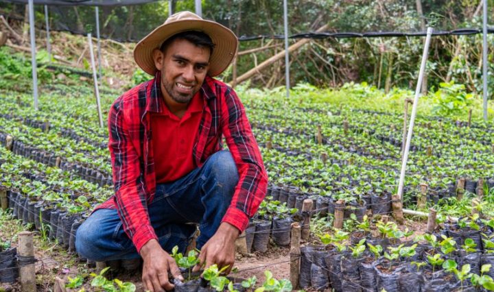 Nestlé reafirma su compromiso con la sostenibilidad de la caficultura, formando a la próxima generación de caficultores centroamericanos