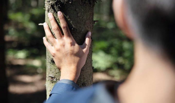 Tetra Pak impulsa el consumo responsable con envases FSC™ en la Semana de los Bosques