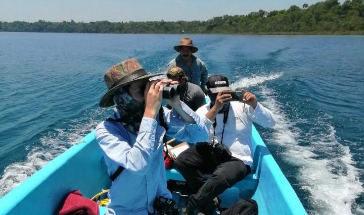 INAB CONMEMORA EL DÍA MUNDIAL DE LAS AVES MIGRATORIAS
