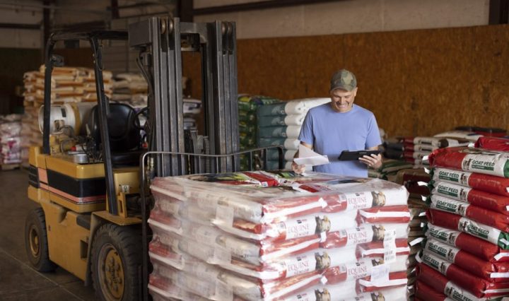 visa índice de capital de trabajo