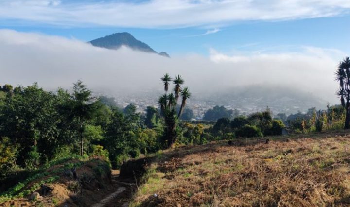 campeonato latinoamericano de Disc Golf
