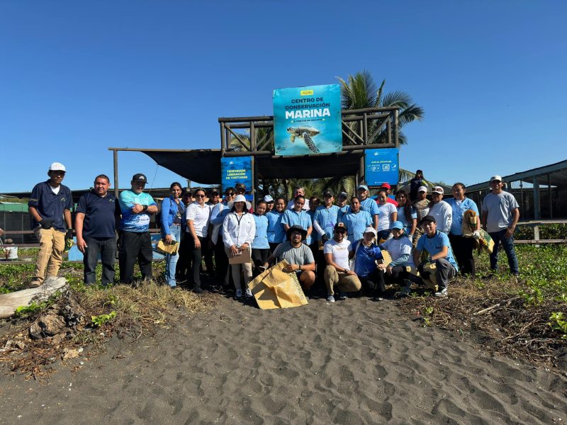 Oceana y el Centro de Conservación Marina AGHN lanzan una alianza que transformará la conservación de tortugas marinas en el Pacífico guatemalteco