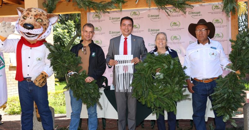 Comienza la Navidad con las Ferias del Pinabete 2025