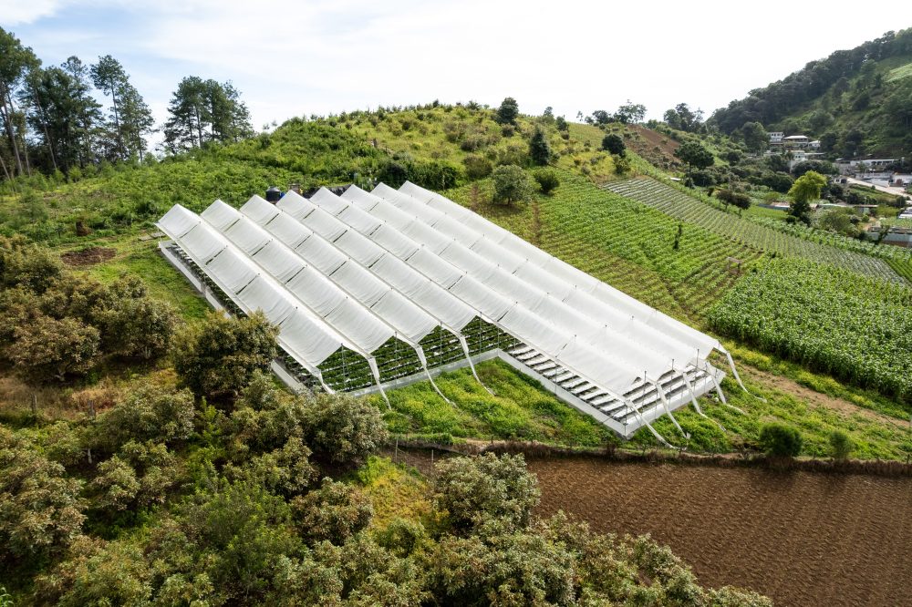 Reportaje especial Isaias Sen