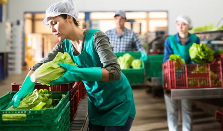 BCIE y Banrural canalizan US$37.6 millones para fortalecer al sector empresarial, MIPYMES y agricultores en Guatemala durante 2025