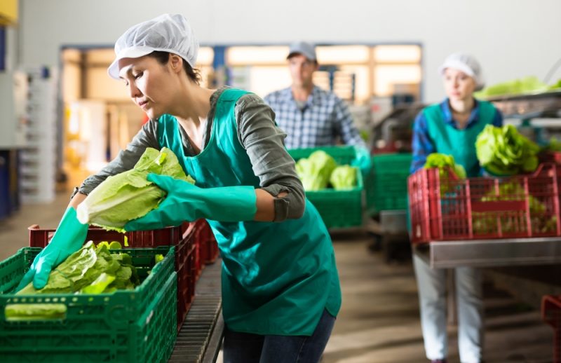 BCIE y Banrural canalizan US$37.6 millones para fortalecer al sector empresarial, MIPYMES y agricultores en Guatemala durante 2025