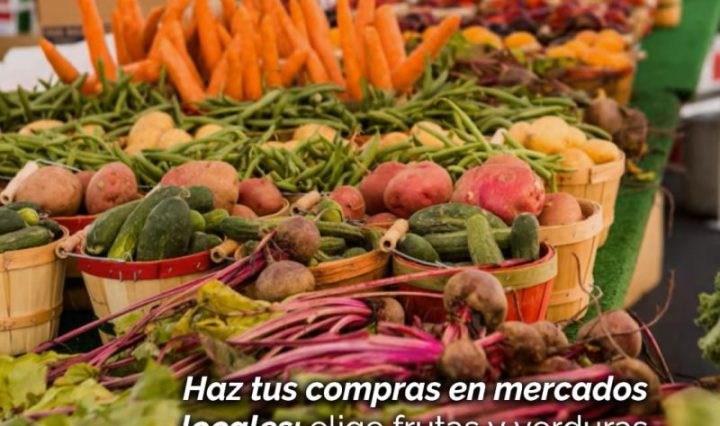 La Navidad no necesita plástico desechable