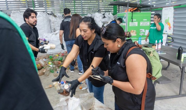 Plasticos Reciclados samsung