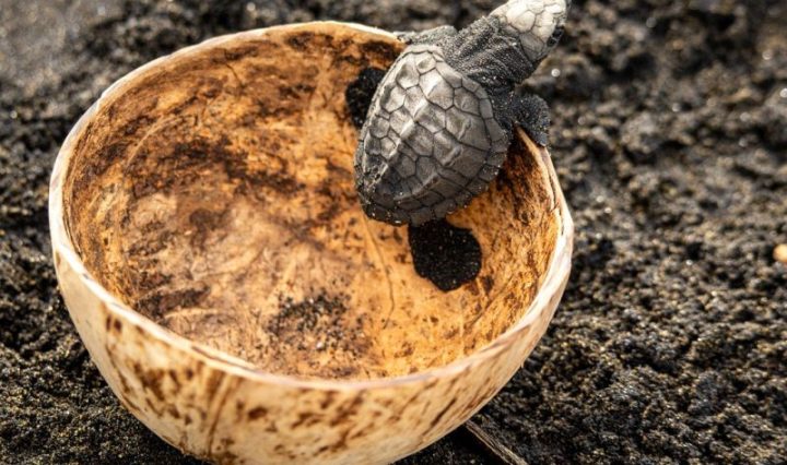 Turismo regenerativo: cuando el turismo sí le devuelve algo a Guatemala