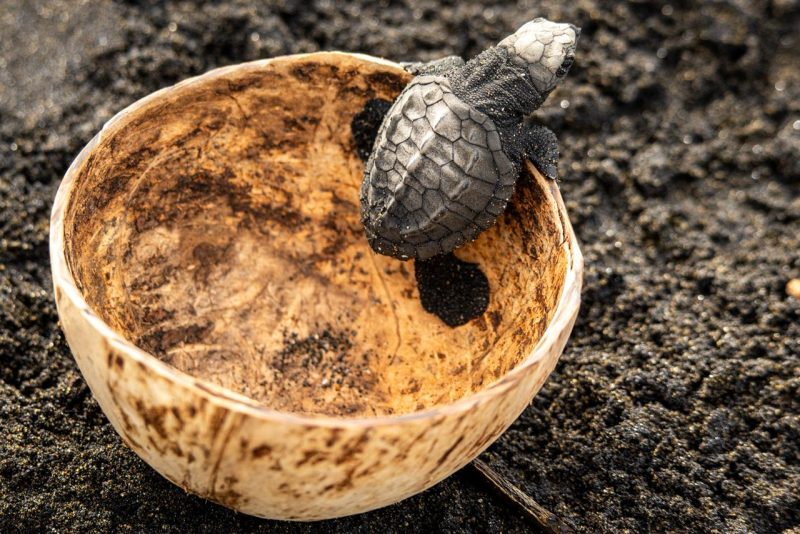 Turismo regenerativo: cuando el turismo sí le devuelve algo a Guatemala