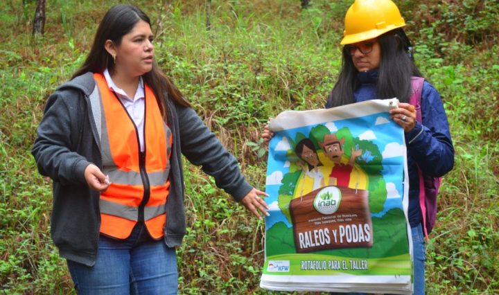 capacitacion tecnica- inab