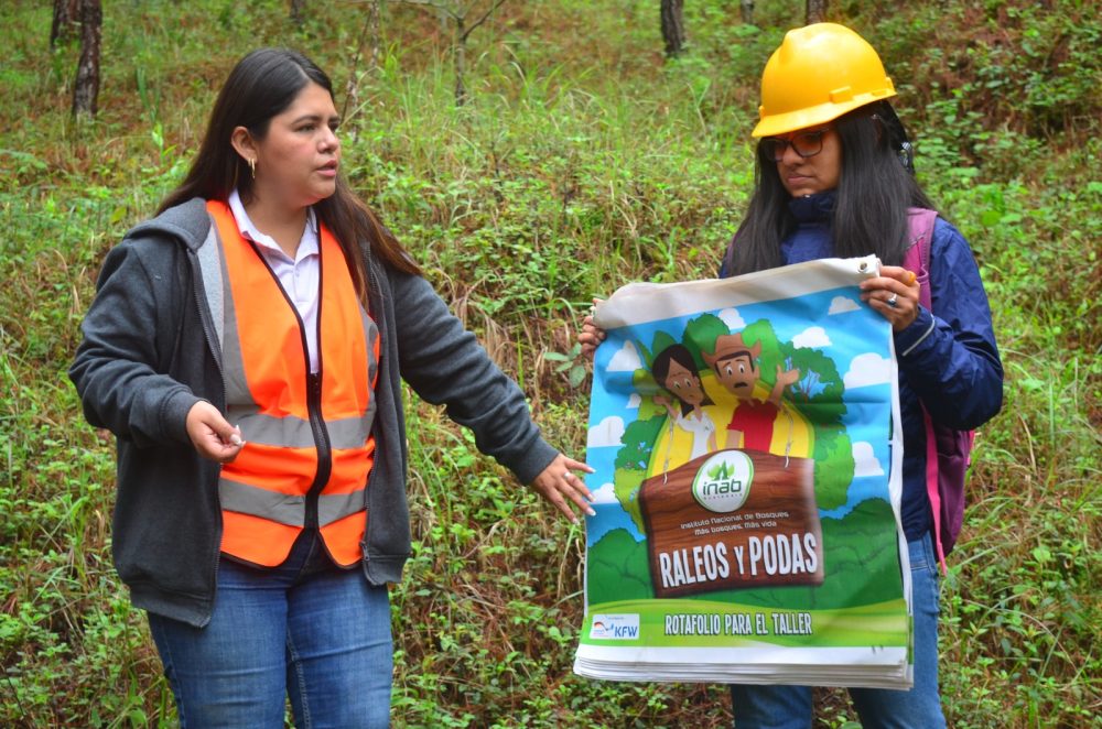 capacitacion tecnica- inab