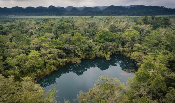 ecosistemas conservados dentro de finca de socios de GREPALMA