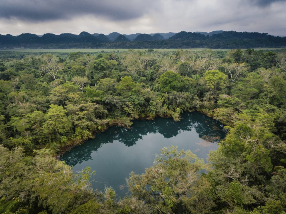 ecosistemas conservados dentro de finca de socios de GREPALMA