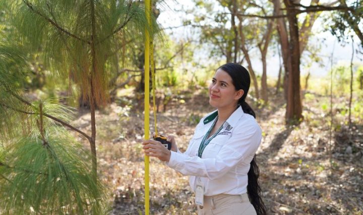 INAB RECONOCE Y PROMUEVE EL LIDERAZGO DE LA MUJER EN EL SECTOR FORESTAL DE GUATEMALA