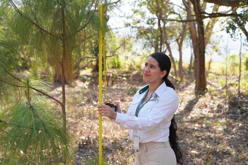 INAB RECONOCE Y PROMUEVE EL LIDERAZGO DE LA MUJER EN EL SECTOR FORESTAL DE GUATEMALA