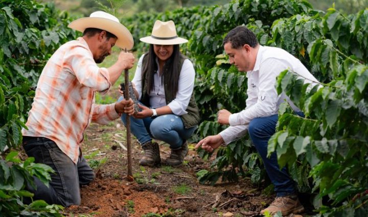 Nestlé contribuye a la siembra de más de 2 millones de árboles en Centroamérica y acelera la transición hacia cadenas de abastecimiento libres de deforestación