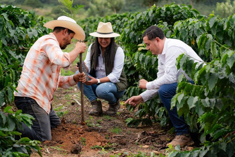 Nestlé contribuye a la siembra de más de 2 millones de árboles en Centroamérica y acelera la transición hacia cadenas de abastecimiento libres de deforestación