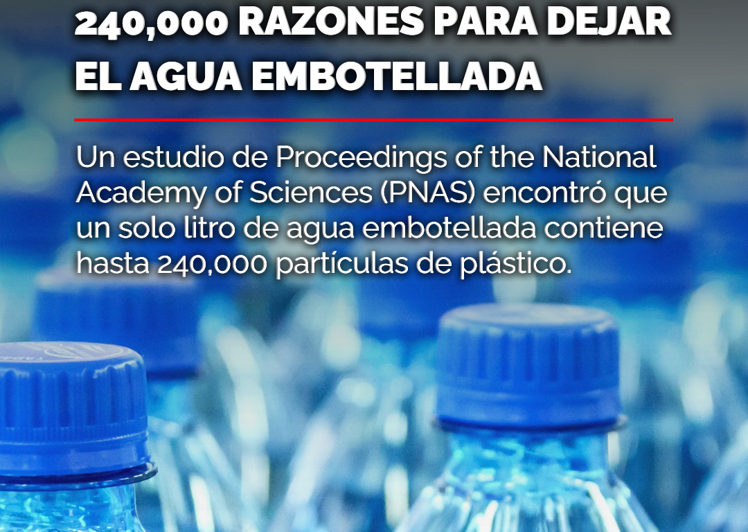 Fotos botellas RescueThePlanet