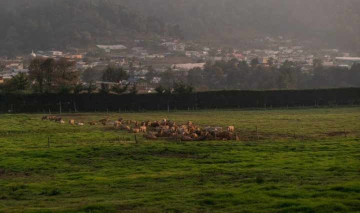 Pasajinak fortalece su compromiso ambiental con iniciativas de sostenibilidad y energías limpias