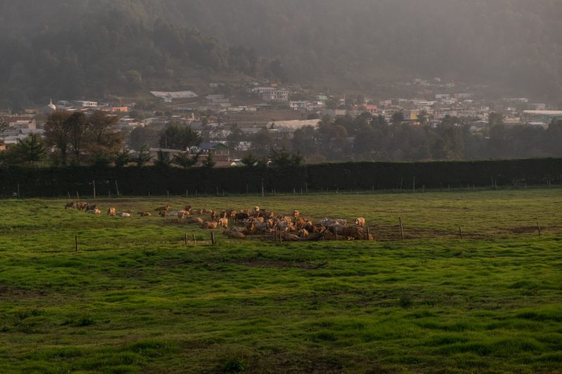 Pasajinak fortalece su compromiso ambiental con iniciativas de sostenibilidad y energías limpias