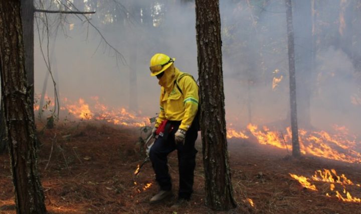 INAB DESTACA LA LABOR DE LOS COMBATIENTES FORESTALES Y REFUERZA ACCIONES PARA PREVENIR INCENDIOS EN GUATEMALA