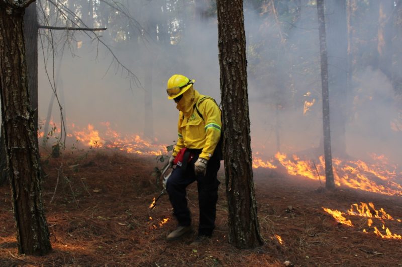 INAB DESTACA LA LABOR DE LOS COMBATIENTES FORESTALES Y REFUERZA ACCIONES PARA PREVENIR INCENDIOS EN GUATEMALA