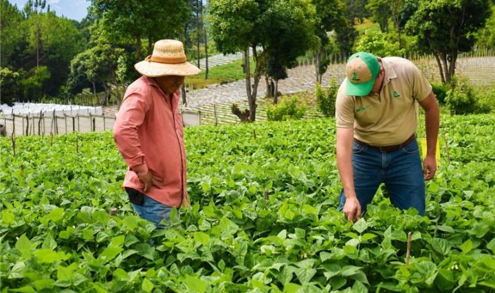 FORAGRO IMPULSA LA EFICIENCIA Y LA TECNIFICACIÓN PARA FORTALECER LAS COSECHAS EN GUATEMALA
