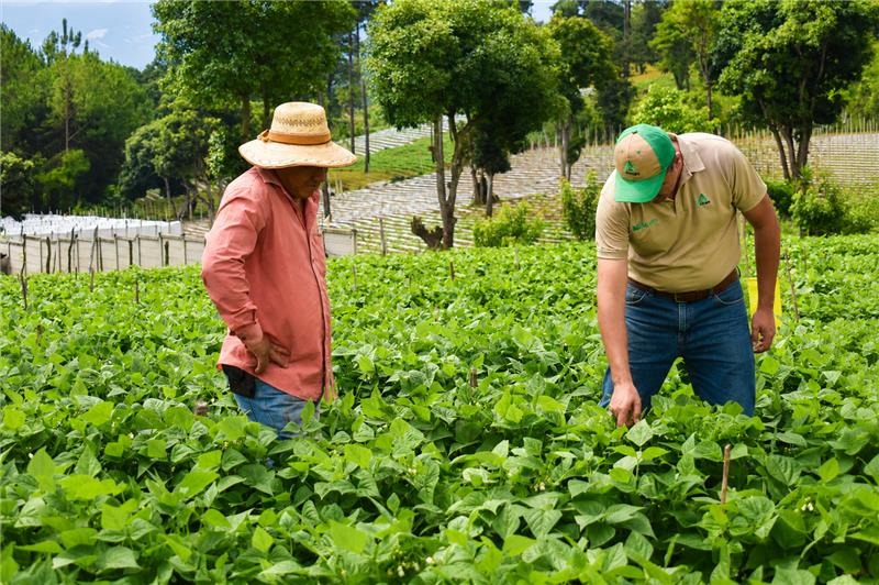 FORAGRO IMPULSA LA EFICIENCIA Y LA TECNIFICACIÓN PARA FORTALECER LAS COSECHAS EN GUATEMALA
