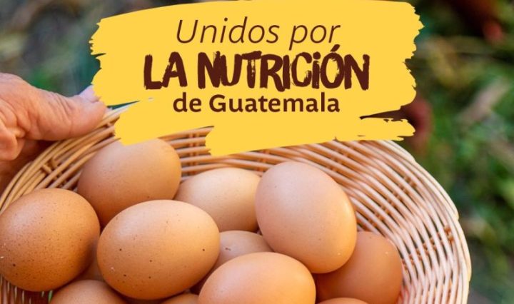El huevo: un aliado fundamental en la nutrición de la familia guatemalteca