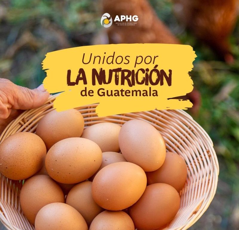 El huevo: un aliado fundamental en la nutrición de la familia guatemalteca