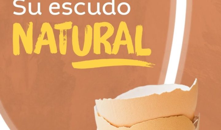 Conservación y manejo adecuado del huevo en casa: claves para un consumo seguro
