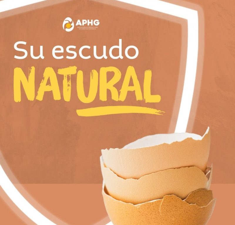 Conservación y manejo adecuado del huevo en casa: claves para un consumo seguro