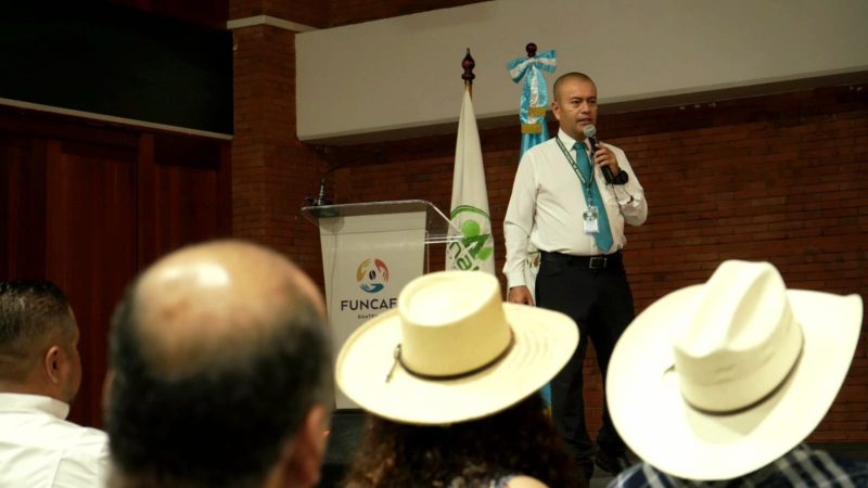 INAB PAGARÁ 680 MILLONES EN PROYECTOS FORESTALES PROBOSQUE