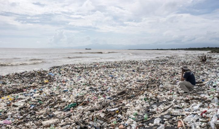 PlasticFreeJuly