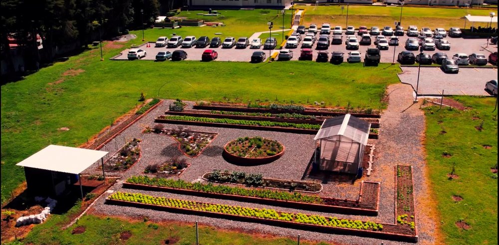 Eurofarma Guatemala inaugura huerta orgánica que promueve reciclaje, alimentación saludable y compromiso ambiental