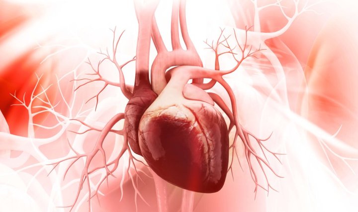 20260928_Eurofarma_Comunicado de prensa Día Mundial del Corazón 2026