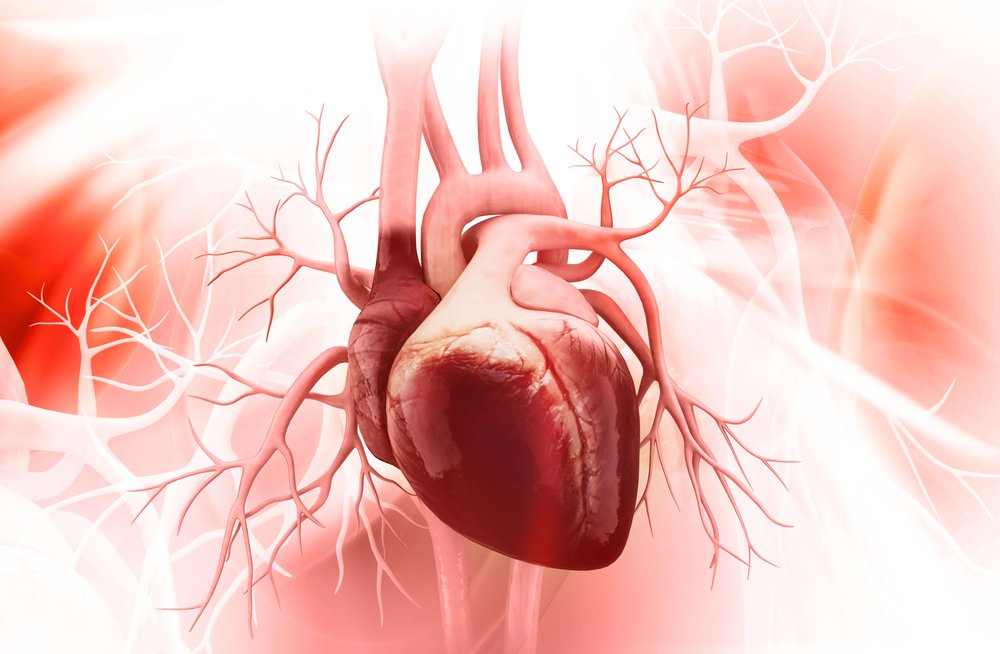 20260928_Eurofarma_Comunicado de prensa Día Mundial del Corazón 2026