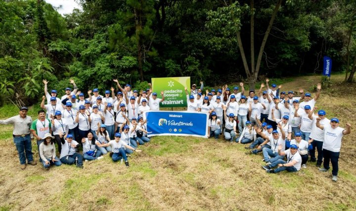 CP Walmart realiza jornada de reforestación GT